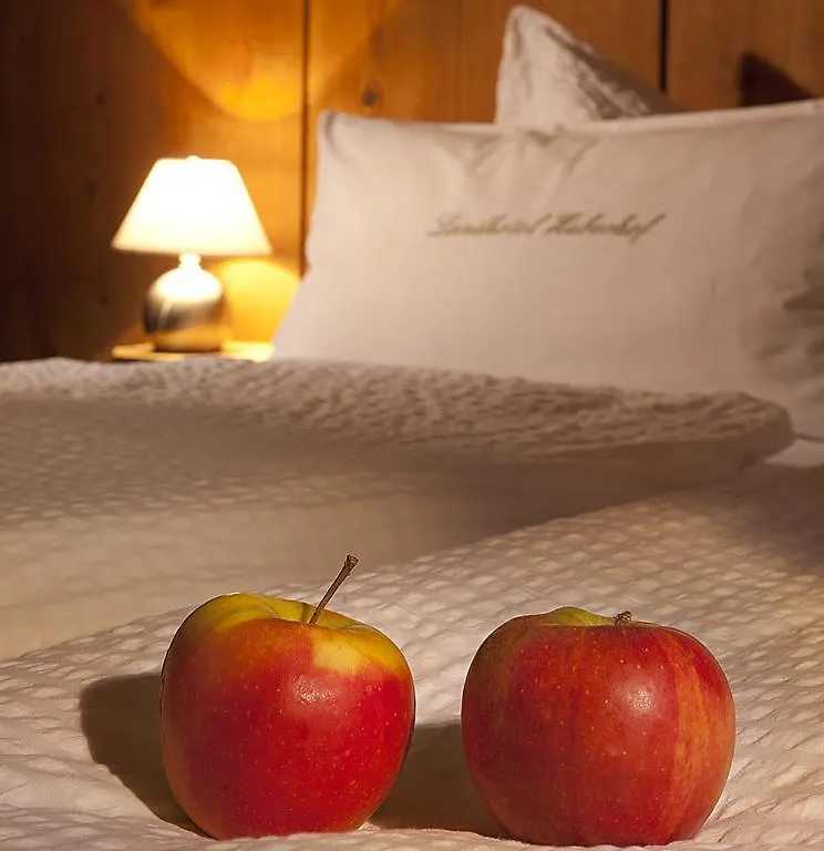Landhotel Huberhof Schwangau 3*,  Germany